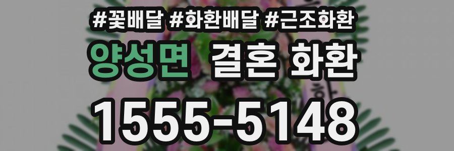 양성면 결혼 화환