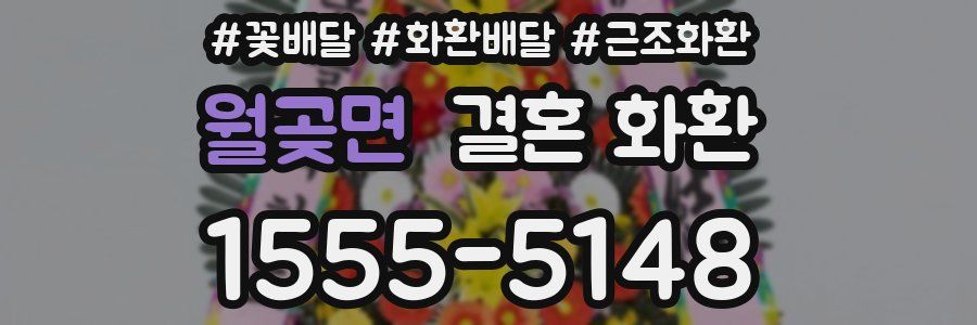 월곶면 결혼 화환