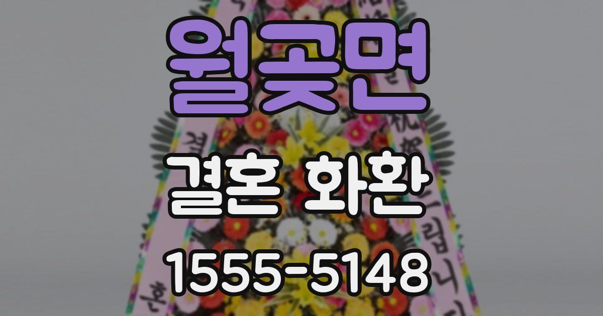 월곶면 결혼 화환