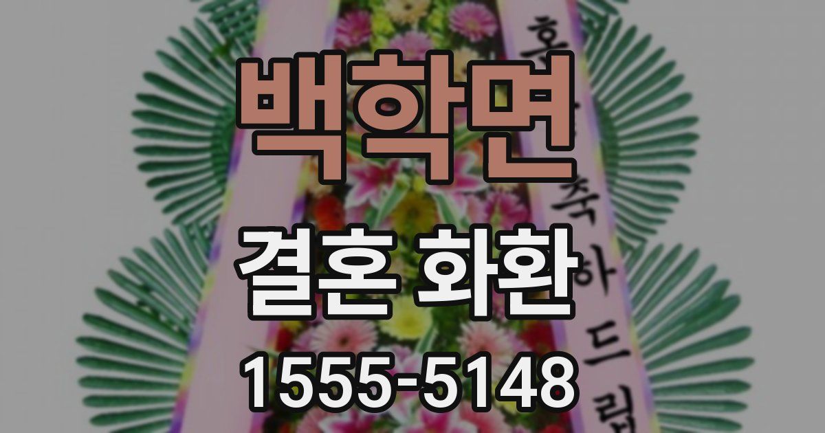 백학면 결혼 화환