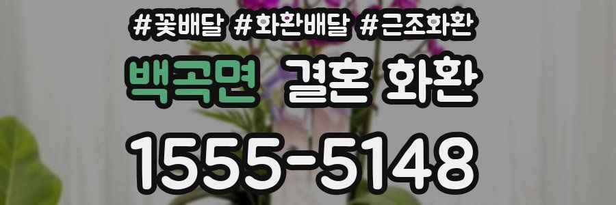 백곡면 결혼 화환