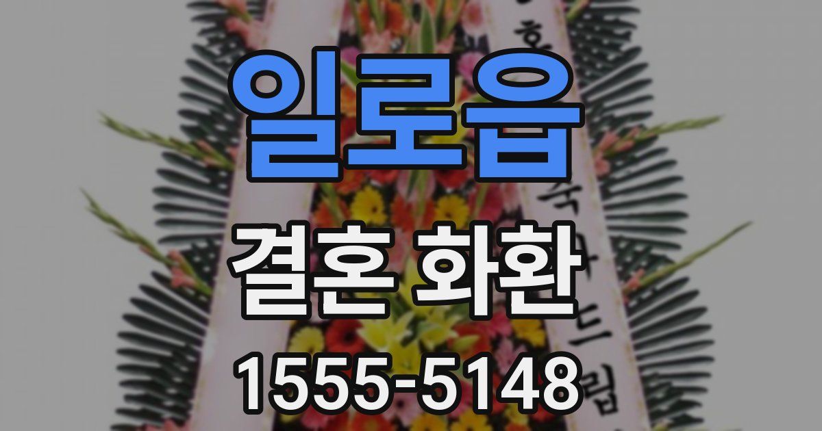 일로읍 결혼 화환