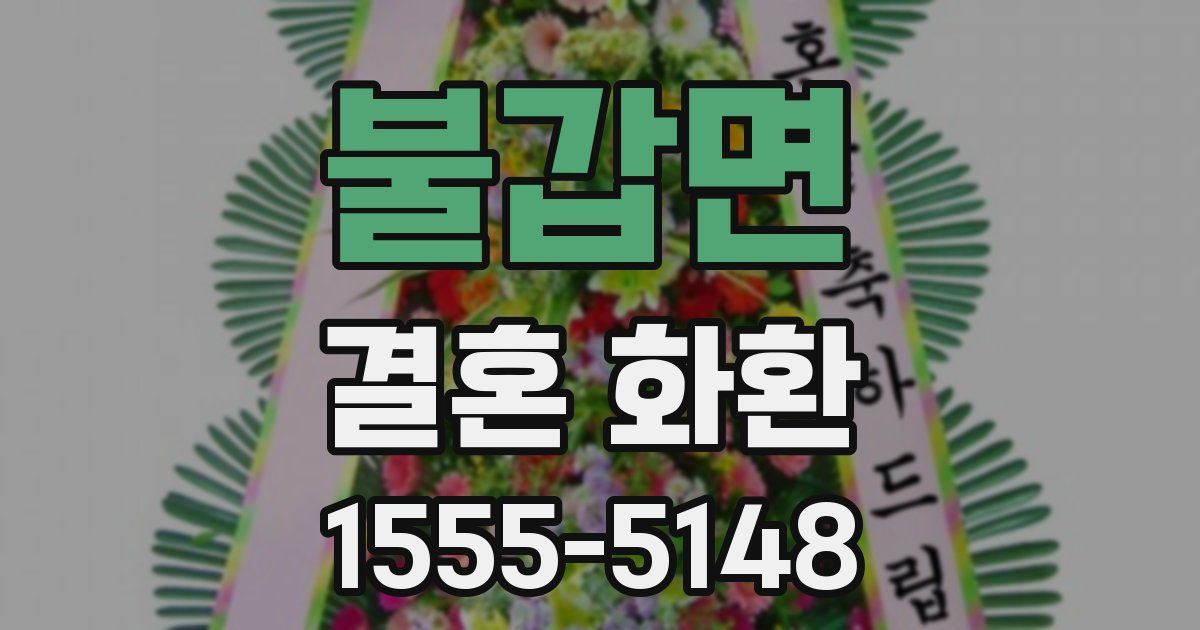 불갑면 결혼 화환