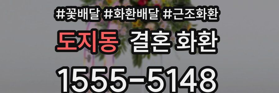 도지동 결혼 화환