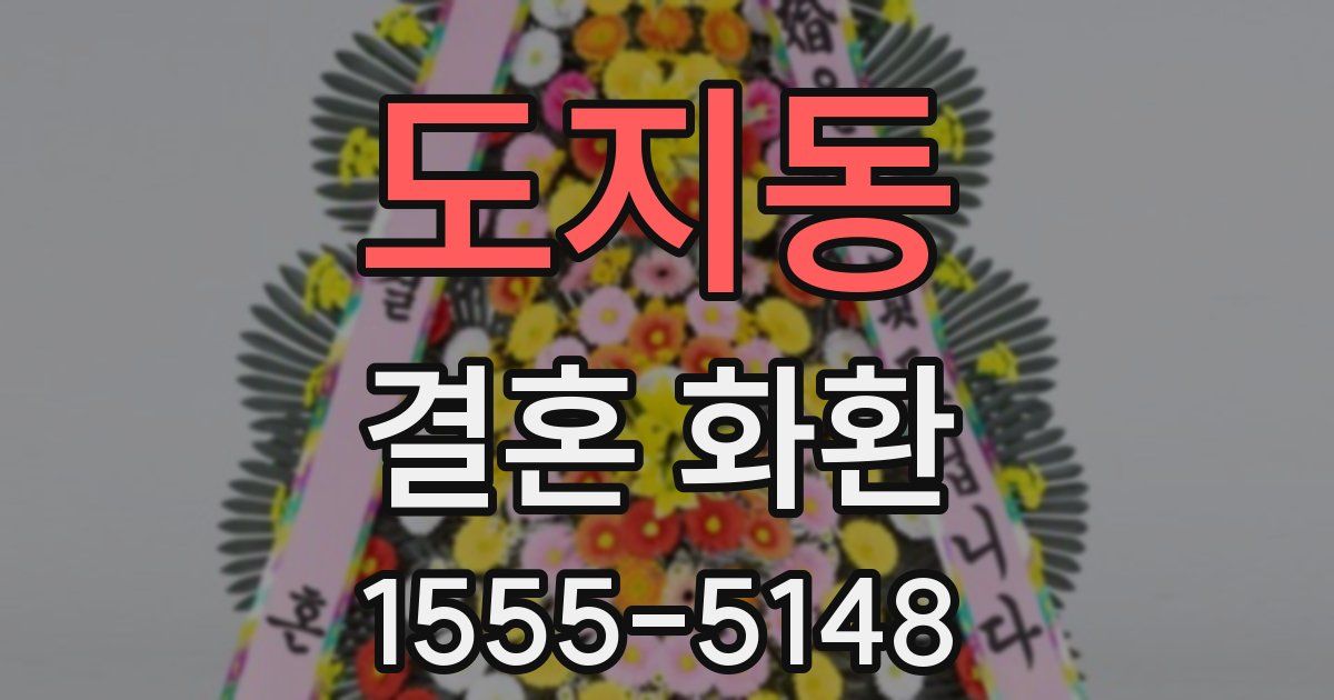 도지동 결혼 화환