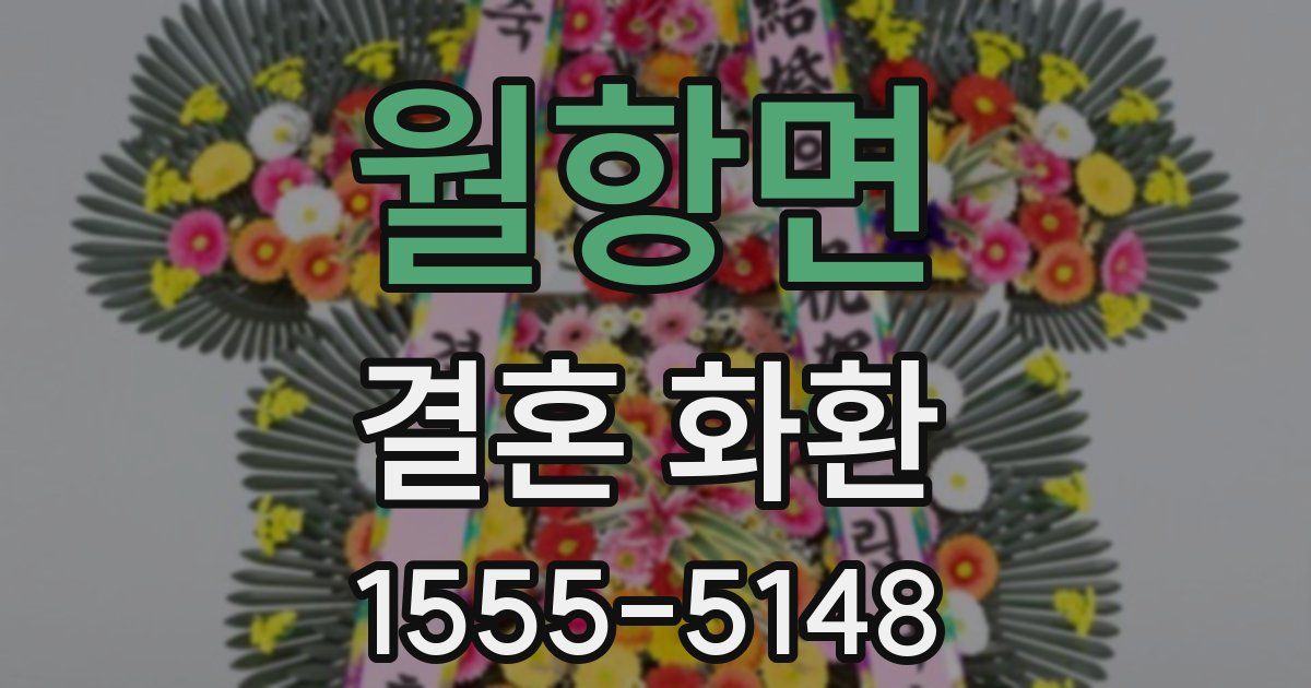 월항면 결혼 화환