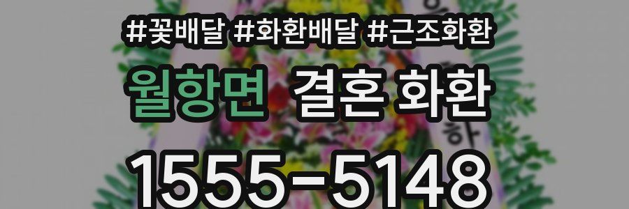 월항면 결혼 화환