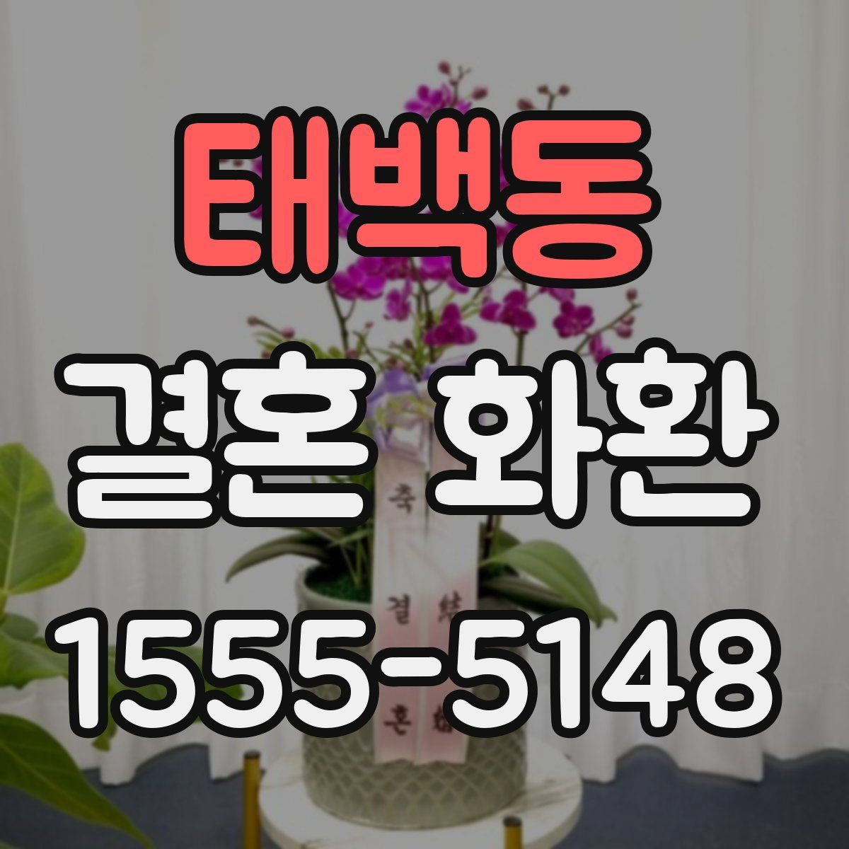 태백동 결혼 화환