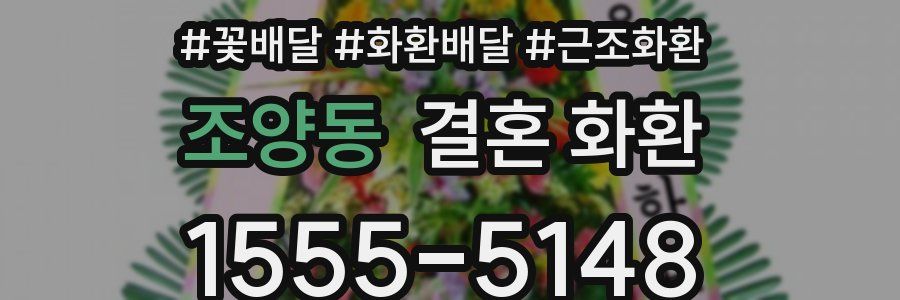 조양동 결혼 화환