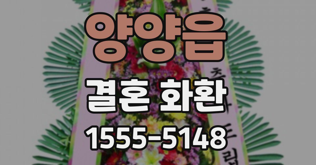 양양읍 결혼 화환