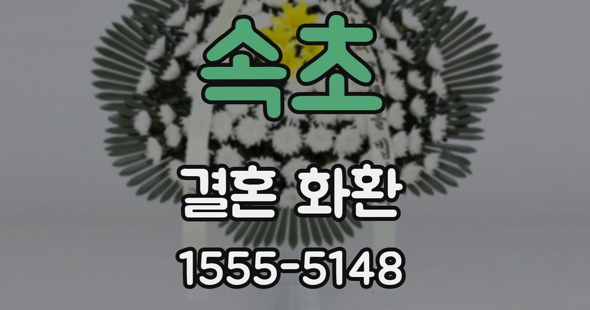 속초 결혼 화환