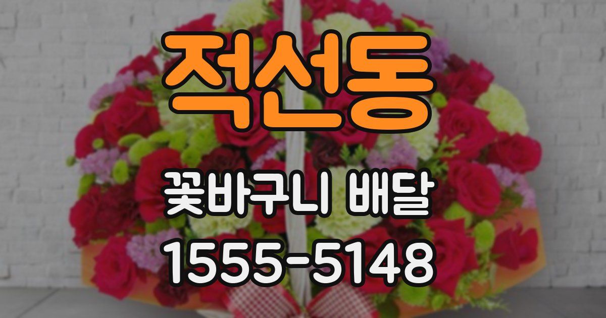 적선동 꽃바구니 배달