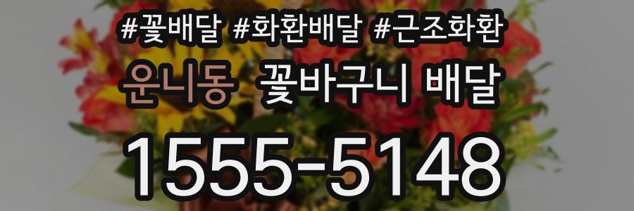 운니동 꽃바구니 배달