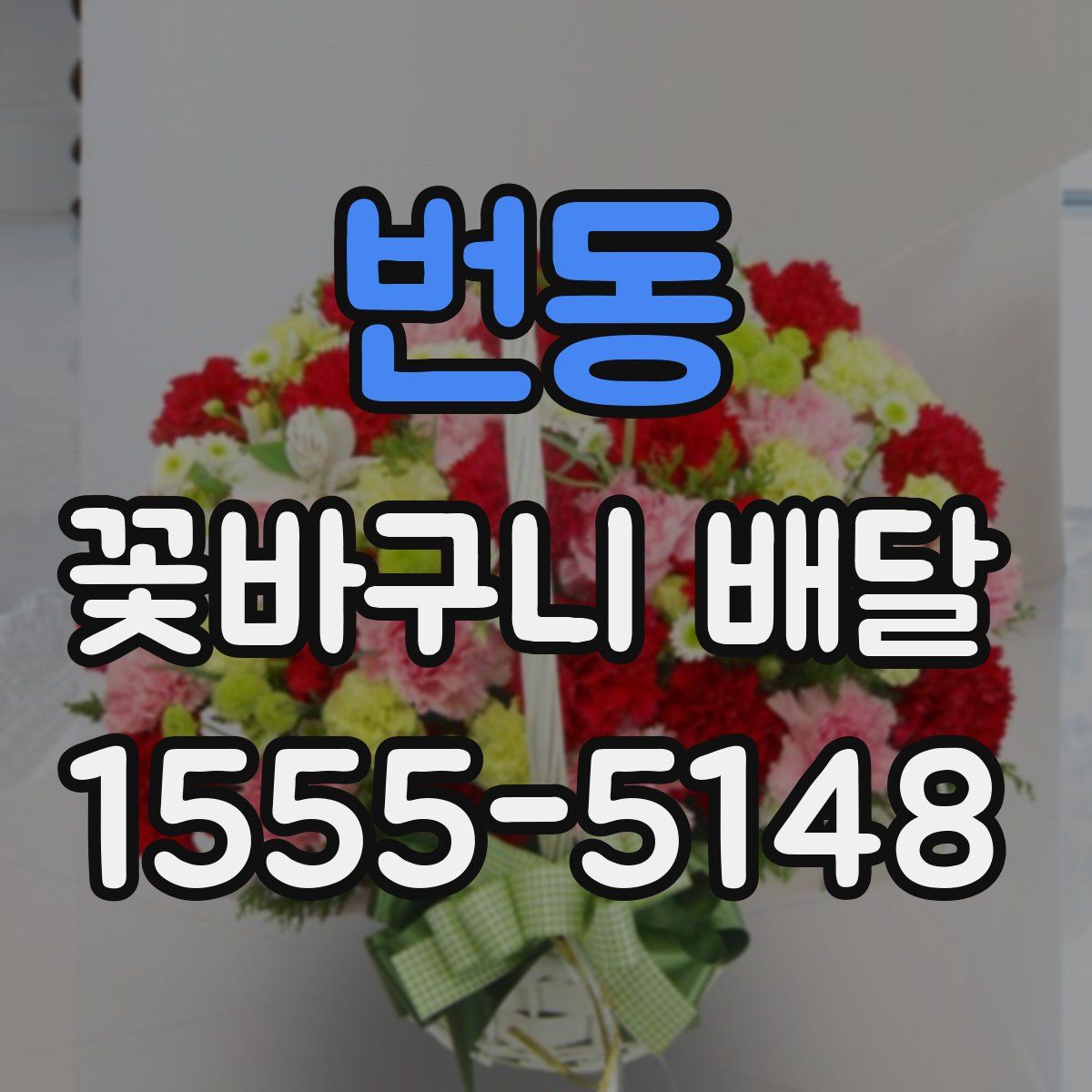 번동 꽃바구니 배달