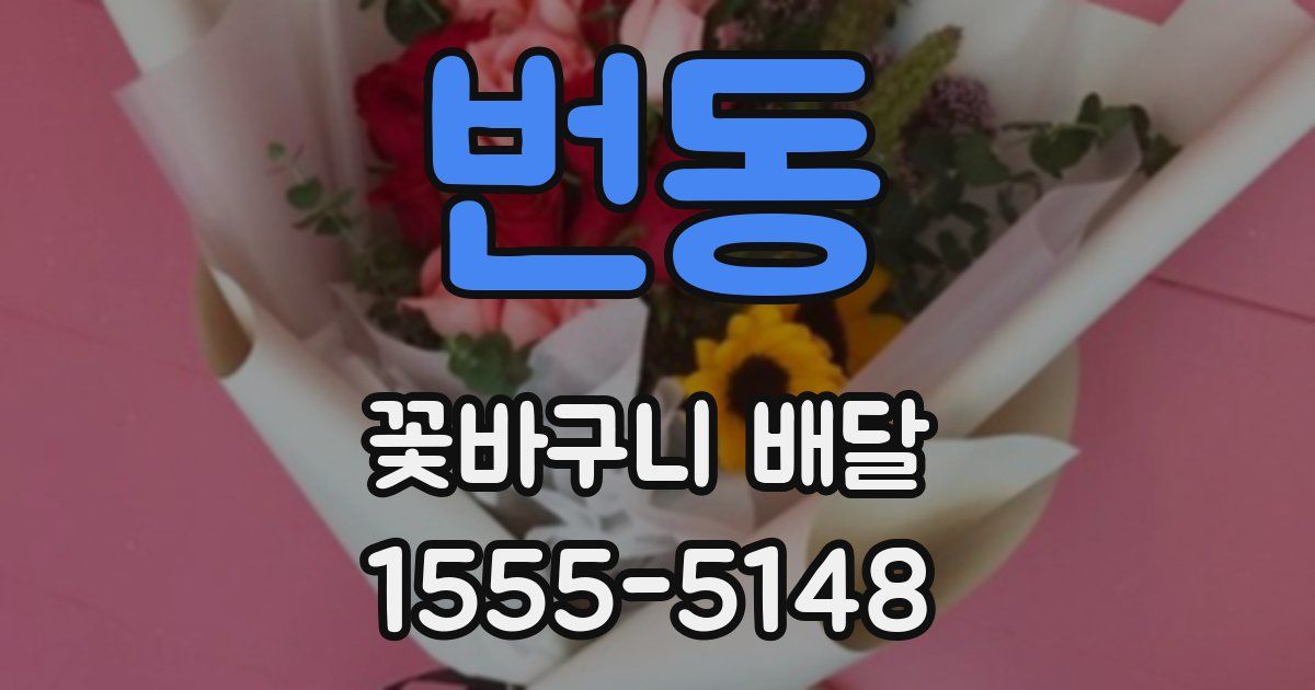 번동 꽃바구니 배달