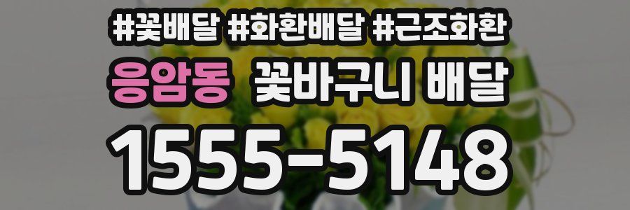 응암동 꽃바구니 배달