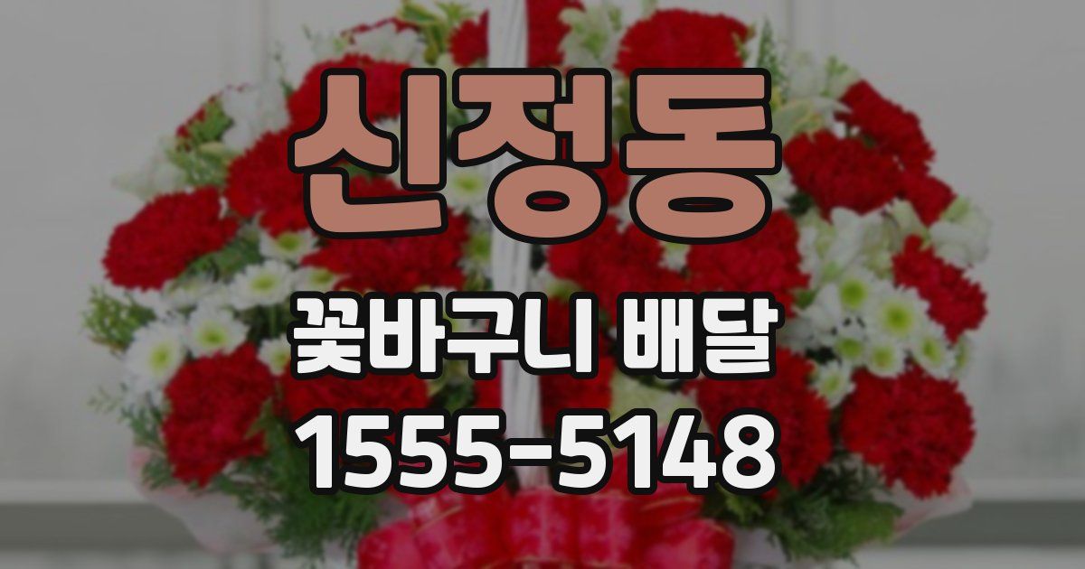 신정동 꽃바구니 배달