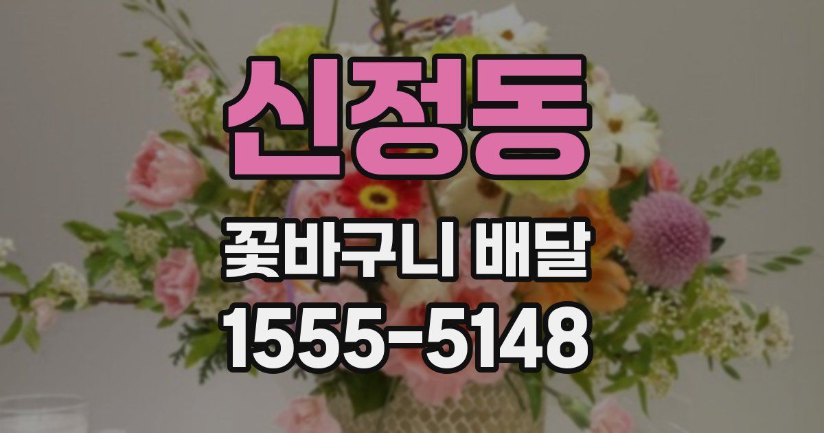 신정동 꽃바구니 배달