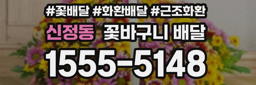 신정동 꽃바구니 배달