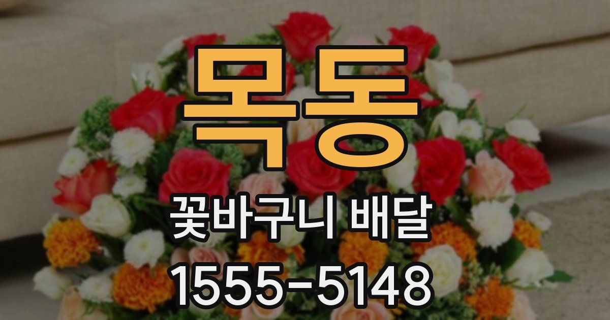 목동 꽃바구니 배달