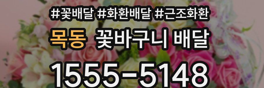 목동 꽃바구니 배달