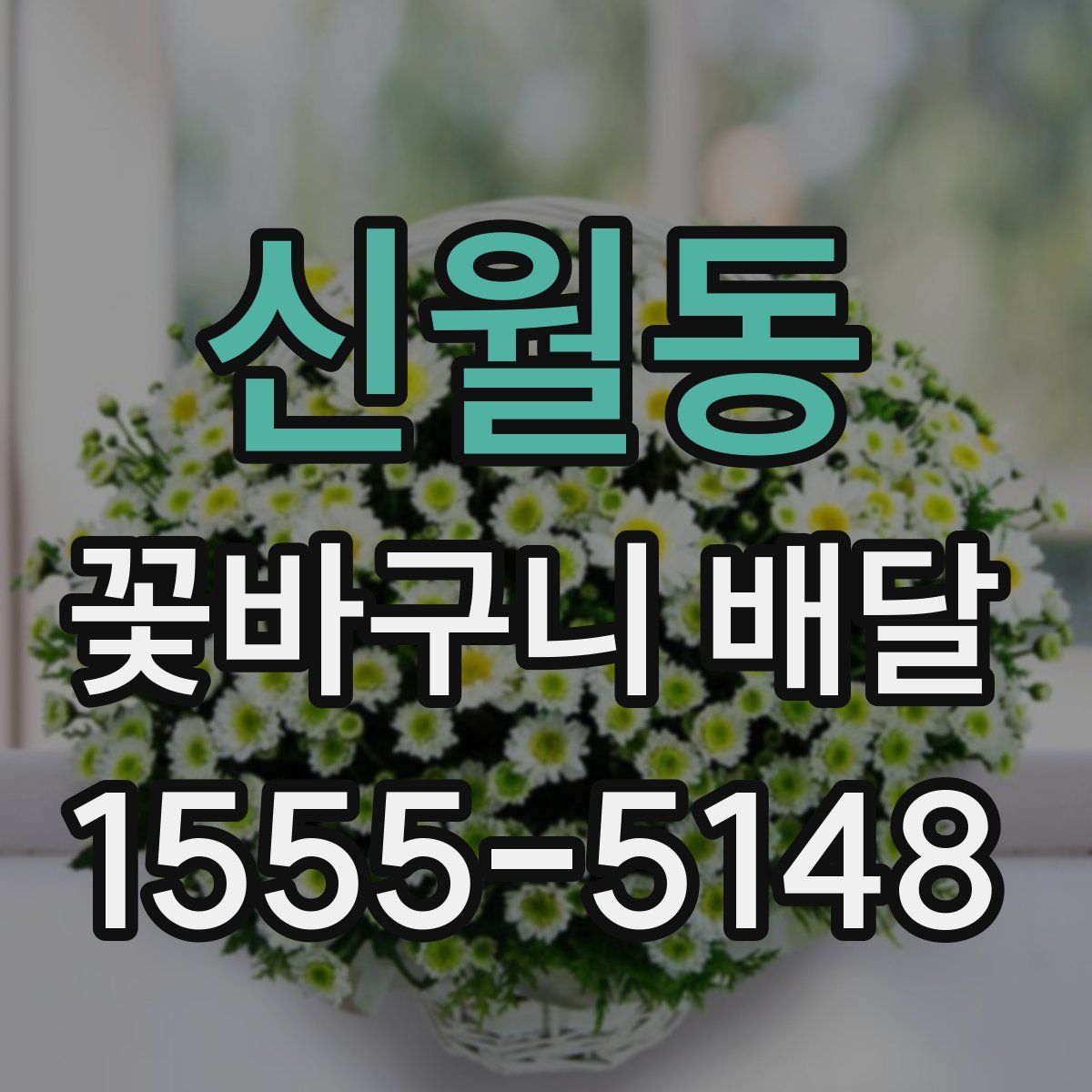 신월동 꽃바구니 배달