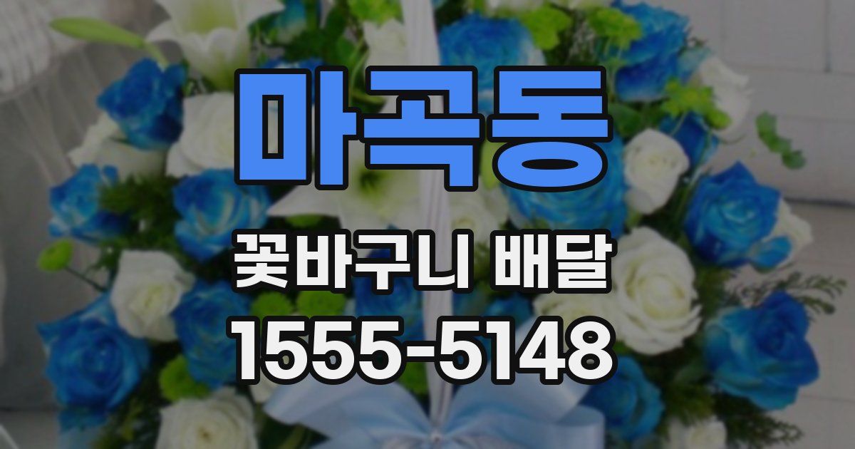 마곡동 꽃바구니 배달