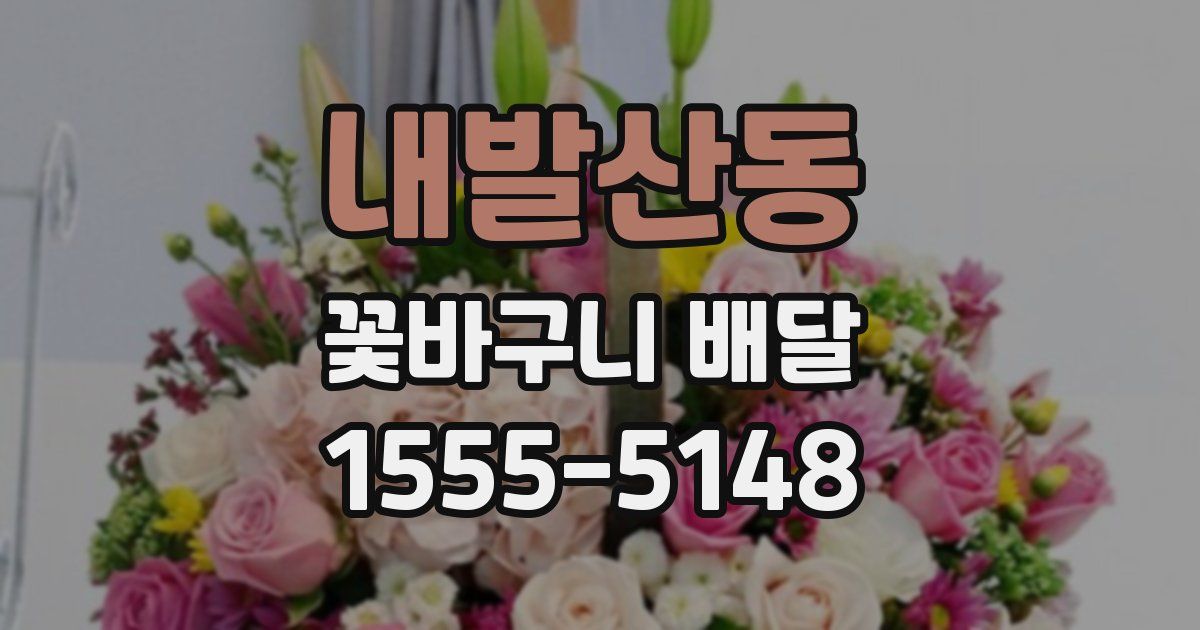 내발산동 꽃바구니 배달