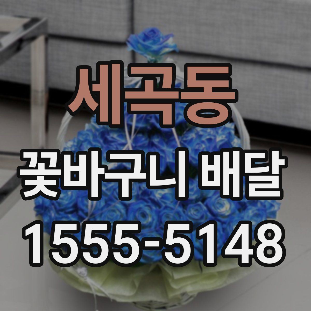 세곡동 꽃바구니 배달 인기 스타일을 비교해 보기