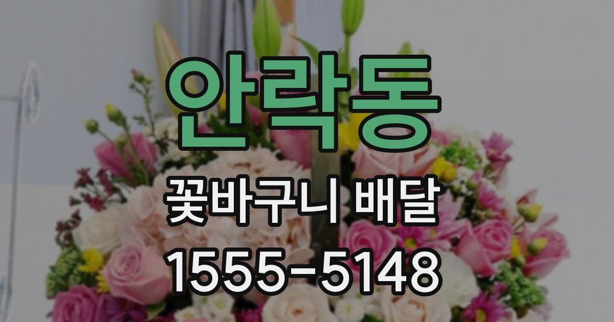 안락동 꽃바구니 배달