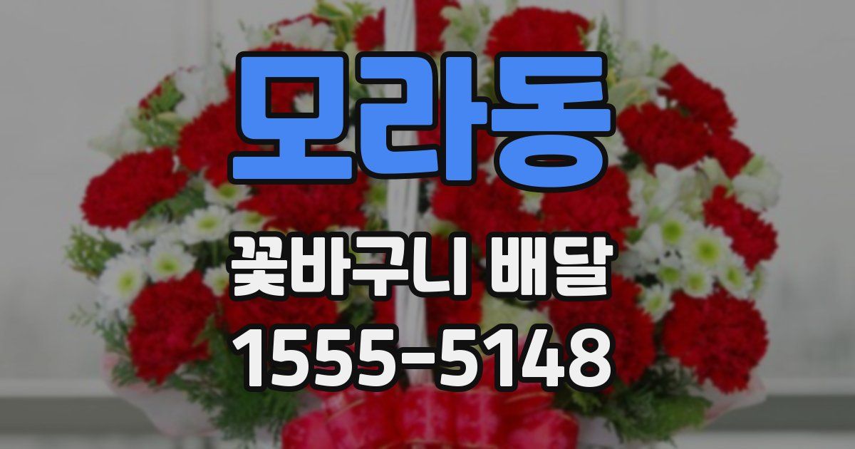 모라동 꽃바구니 배달