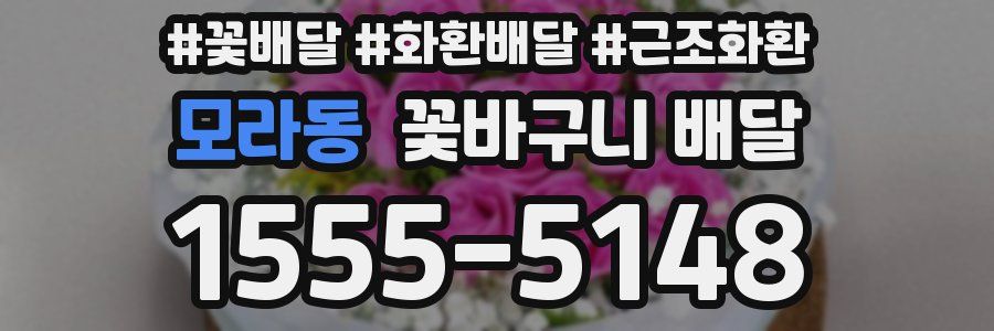 모라동 꽃바구니 배달
