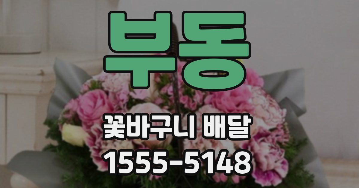 부동 꽃바구니 배달