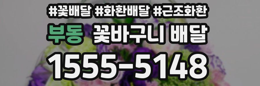 부동 꽃바구니 배달
