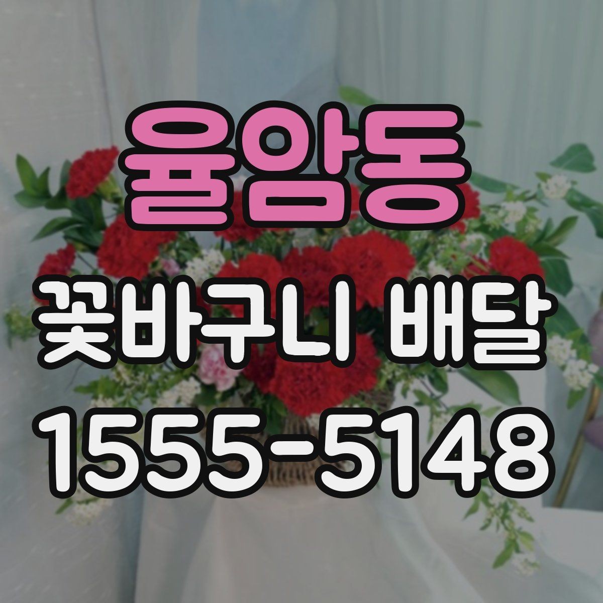 율암동 꽃바구니 배달 가격대와 구성 비교하기