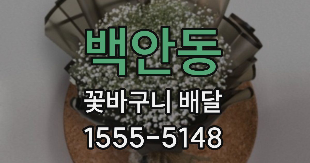 백안동 꽃바구니 배달
