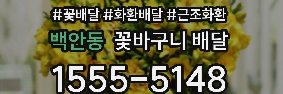 백안동 꽃바구니 배달