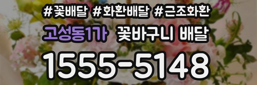 고성동1가 꽃바구니 배달