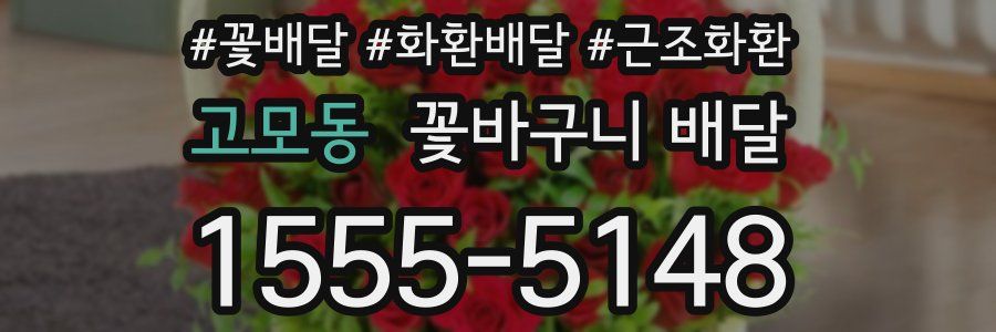 고모동 꽃바구니 배달