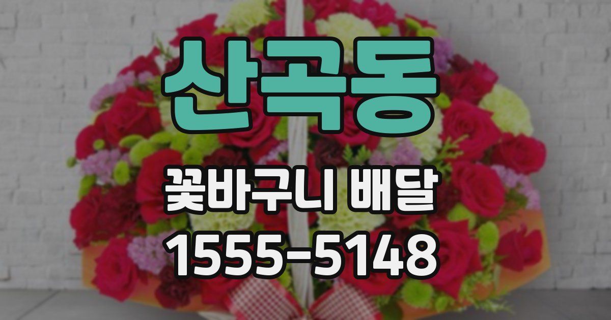 산곡동 꽃바구니 배달