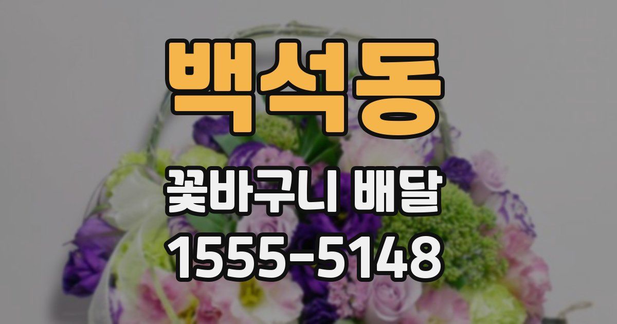 백석동 꽃바구니 배달