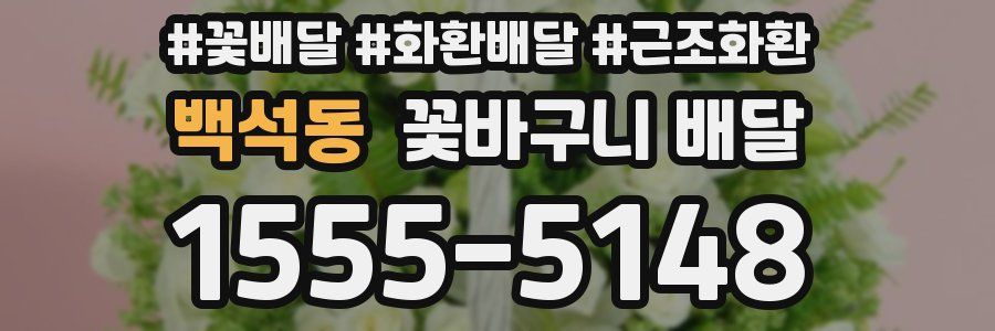 백석동 꽃바구니 배달