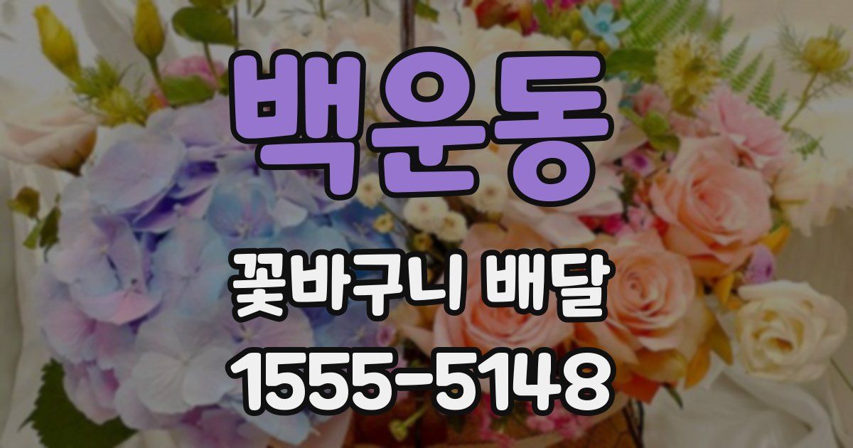 백운동 꽃바구니 배달