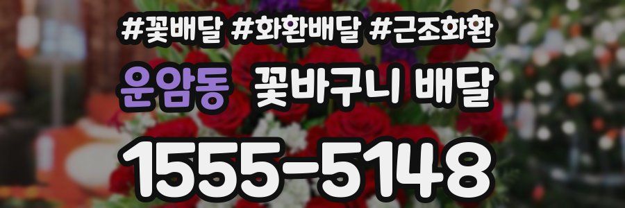 운암동 꽃바구니 배달