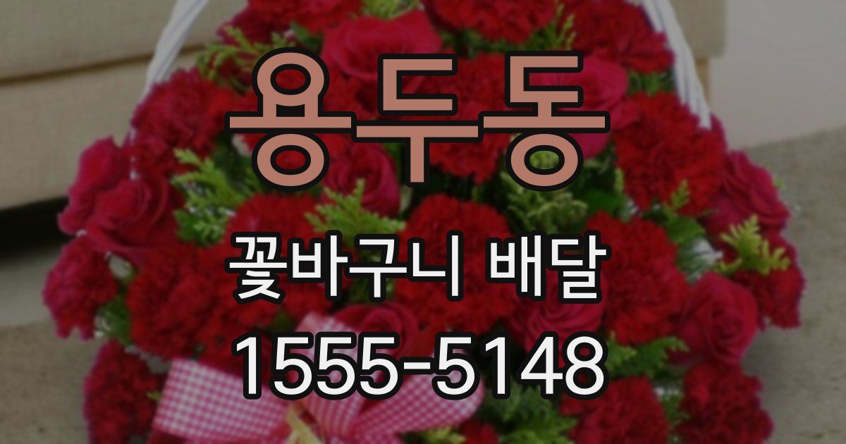 용두동 꽃바구니 배달