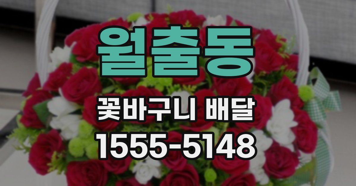 월출동 꽃바구니 배달
