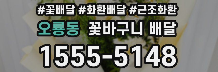 오룡동 꽃바구니 배달