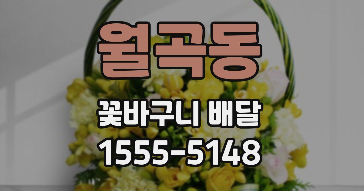 월곡동 꽃바구니 배달