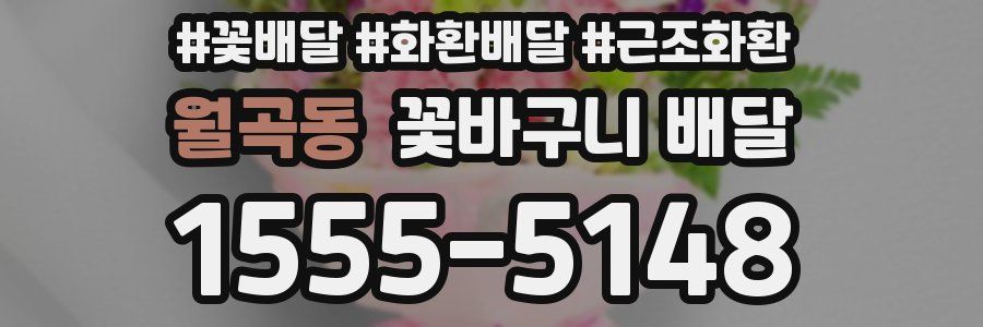 월곡동 꽃바구니 배달