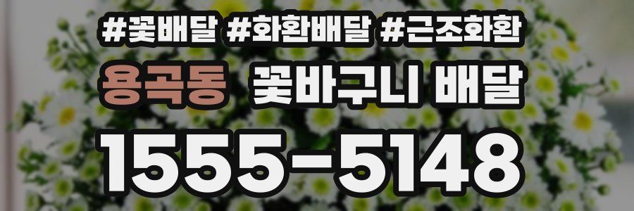 용곡동 꽃바구니 배달